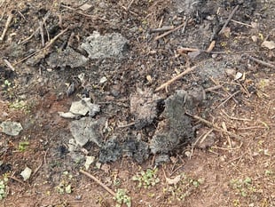 Concerns grow over Bathurst Park fires