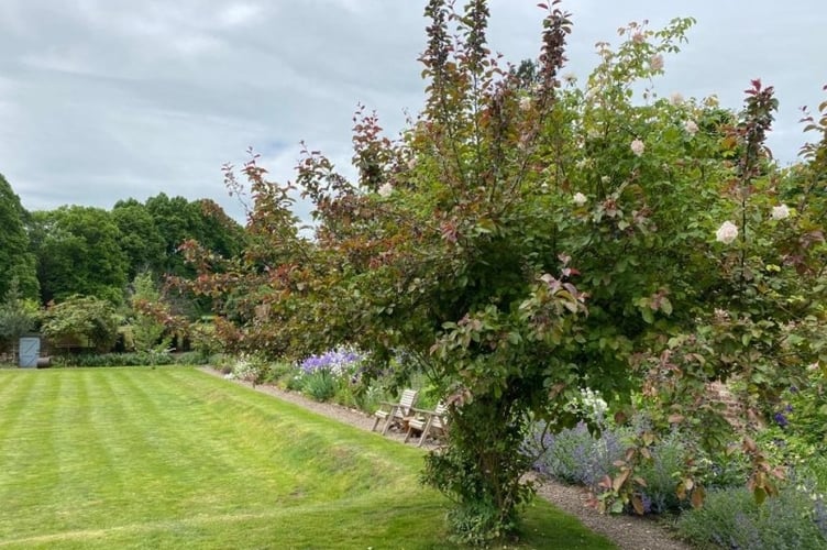 St John's open garden