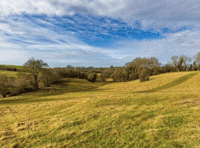 PLANS FOR NEW
WOOD ON SHOW