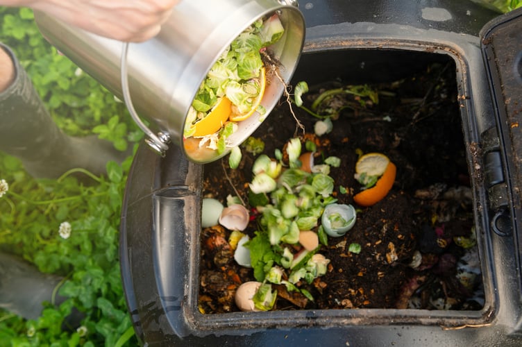 Compost