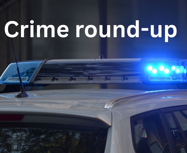 Forest of Dean crime round-up