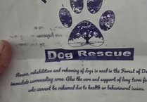 Woman posing as Forest of Dean Dog Rescue volunteer in Aylburton sparks police alert