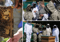 Monmouth School goes green with beekeeping