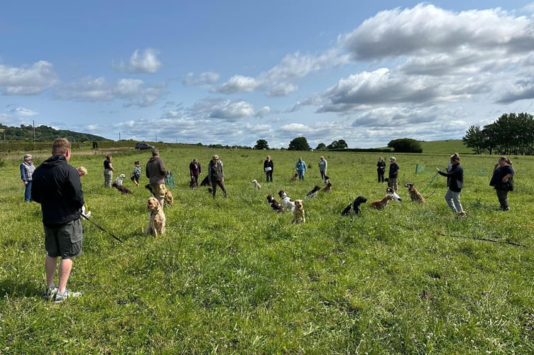 A demonstration of gundog training.