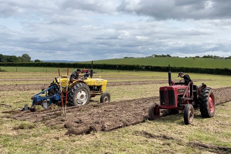 Ploughing a field using vintage tractors.