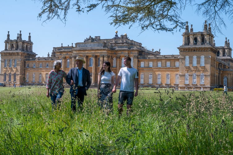 blenheim palace