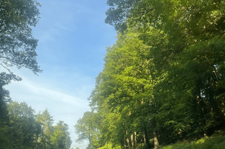Staunton Road A4136