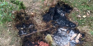Forestry England warns Forest of Dean on wildfires