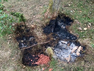 Forestry England warns Forest of Dean on wildfires
