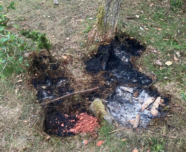 Forestry England warns Forest of Dean on wildfires