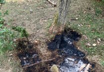Forestry England alerts on wildfire dangers