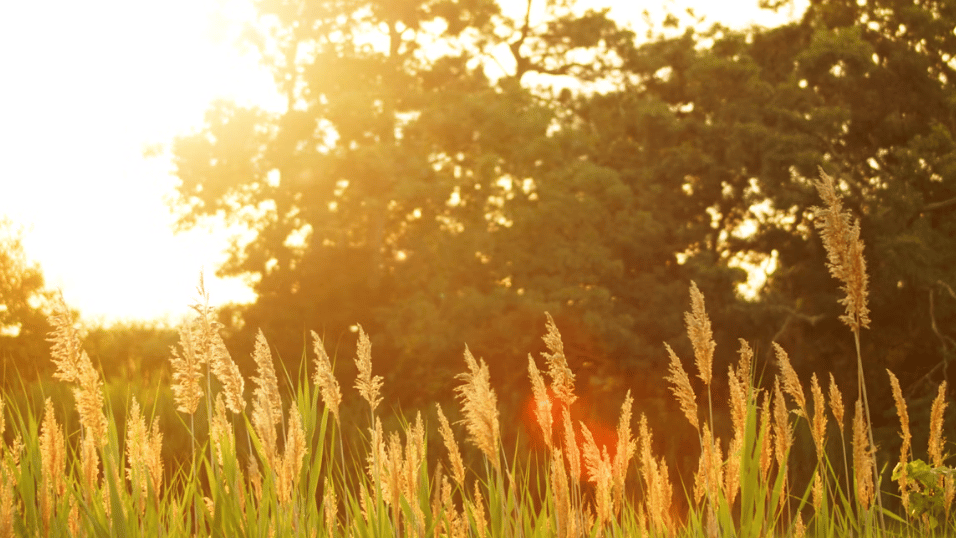 UK set for record May heatwave