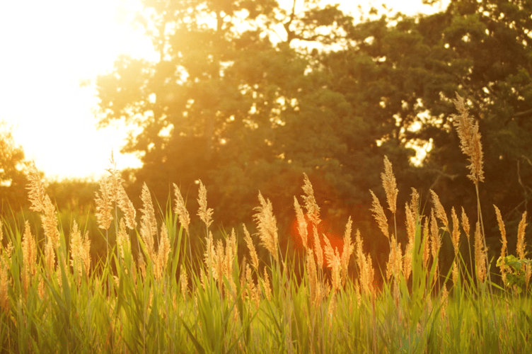 Hot weather stock image