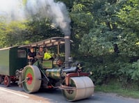 Traction engine in the Forest