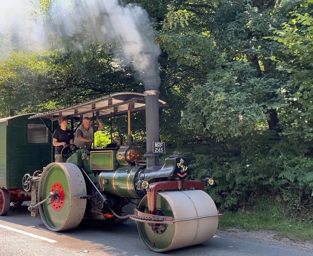 Traction engine in the Forest