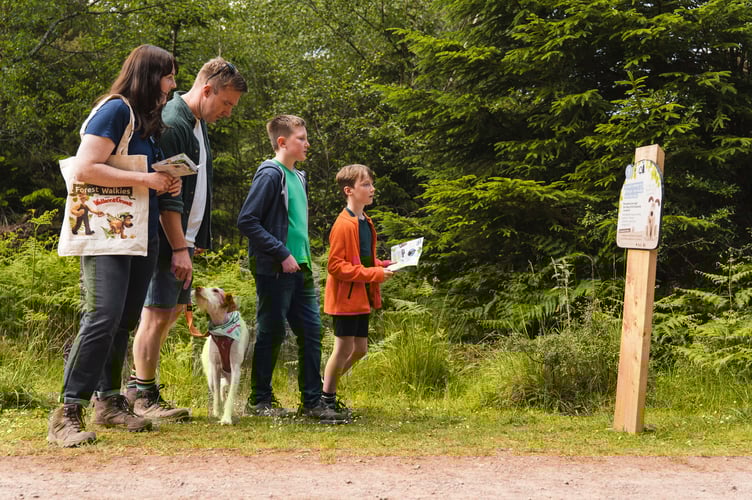Forestry dogs