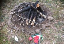 Help keep Forest of Dean clean and green