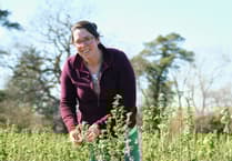 Ribera firm invests nearly £1m
in future of blackcurrant crop