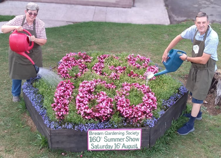 BGS Carpet Bedding Display
