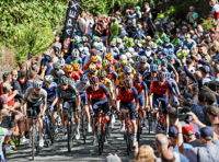 Tour of Britain joy for county in Geraint's final race