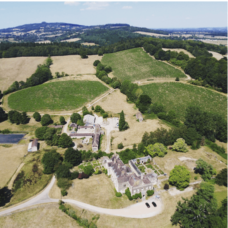 The Kingsthorne Vineyard. Picture: Simon Day.