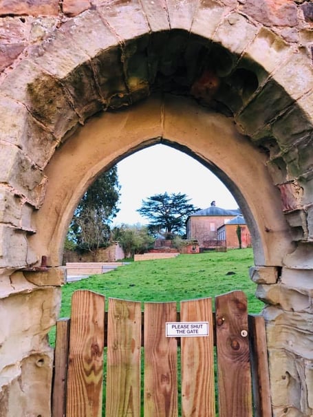 The Wilderness Centre has been saved with a grant from the Rockefeller Philanthropy Advisors.