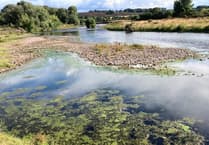 South east Wales moves into drought following driest six-month period in 50 years