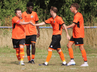 Kingfishers' wings clipped by last-gasp leveller