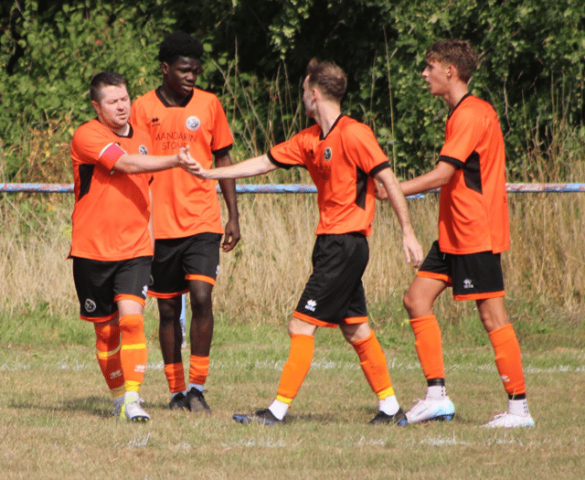 Kingfishers' wings clipped by last-gasp leveller