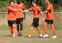 Kingfishers' wings clipped by last-gasp leveller