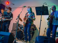 Monstock features the best of local music