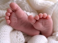 Fertility rate rises in the Forest of Dean – as it reaches new record low in England and Wales