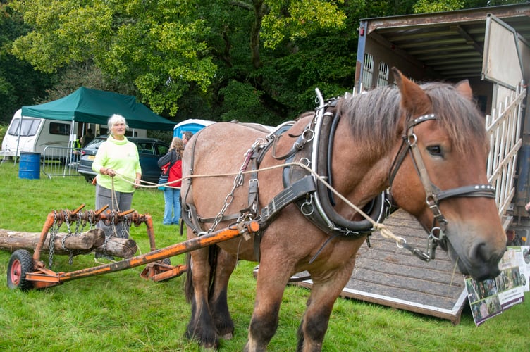 Kate Mobbs-Morgan of Rowan Working Horses with Kipps, an Ardennes horse.