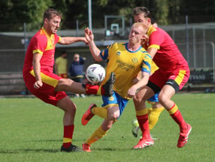 Kingfishers in seventh heaven as Fforest felled 