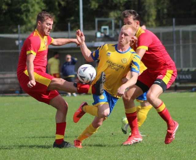 Kingfishers in seventh heaven as Fforest felled 