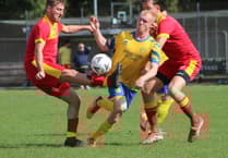 Kingfishers in seventh heaven as Fforest felled