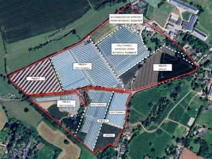 Fruit farm expands polytunnel area 