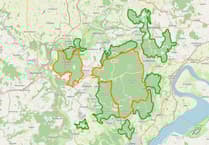 Number of wild boar remains stable