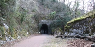 Tidenham Tunnel closes for bat hibernation