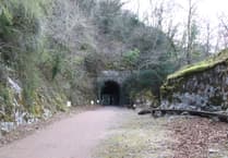 Tidenham Tunnel shut for bat hibernation period
