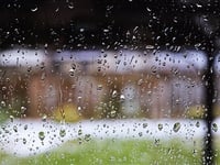 February rainfall saw tenth wettest February