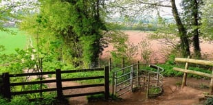 Couple launch fight to save ancient woodland