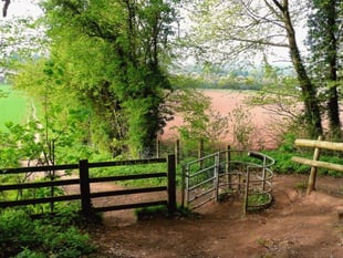 Couple launch fight to save ancient woodland