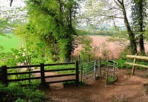 Couple launch fight to save ancient woodland