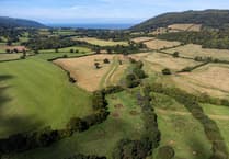 More green space in Forest of Dean than English average