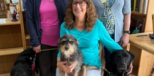 Tintern bookshop calls for community support