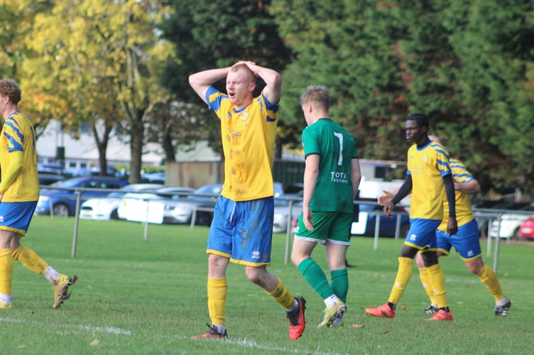 Kingfishers in action