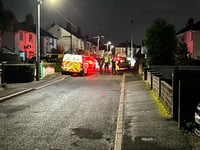 New arrests in baby death dog attack probe