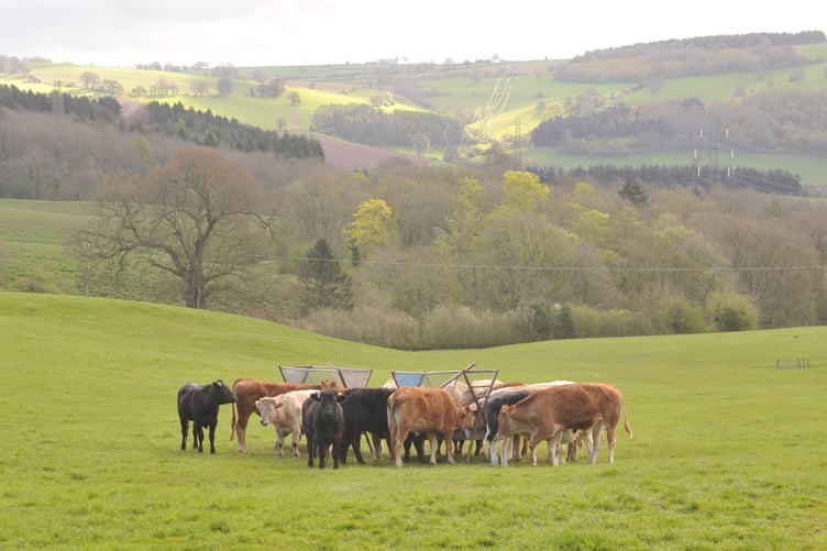 RSPCA farm assured scheme