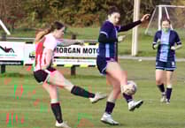 Hannah fires great eight as Ladies wallop Westfields 17-0